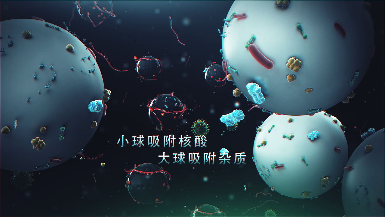 邁維動(dòng)漫簽約上海速創(chuàng)診斷產(chǎn)品有限公司冠狀病毒檢測醫(yī)學(xué)醫(yī)療三維動(dòng)畫制作(圖3)
