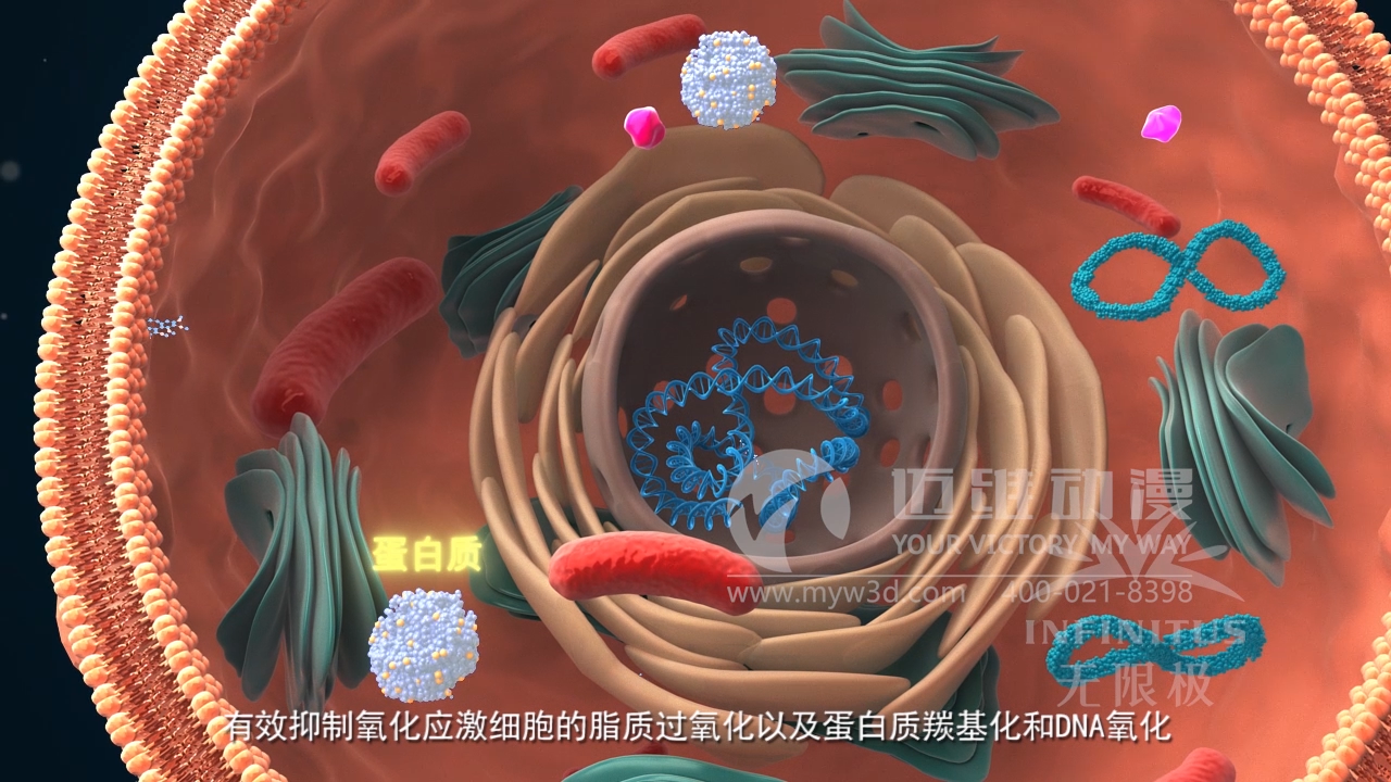 醫學醫療三維動畫制作公司