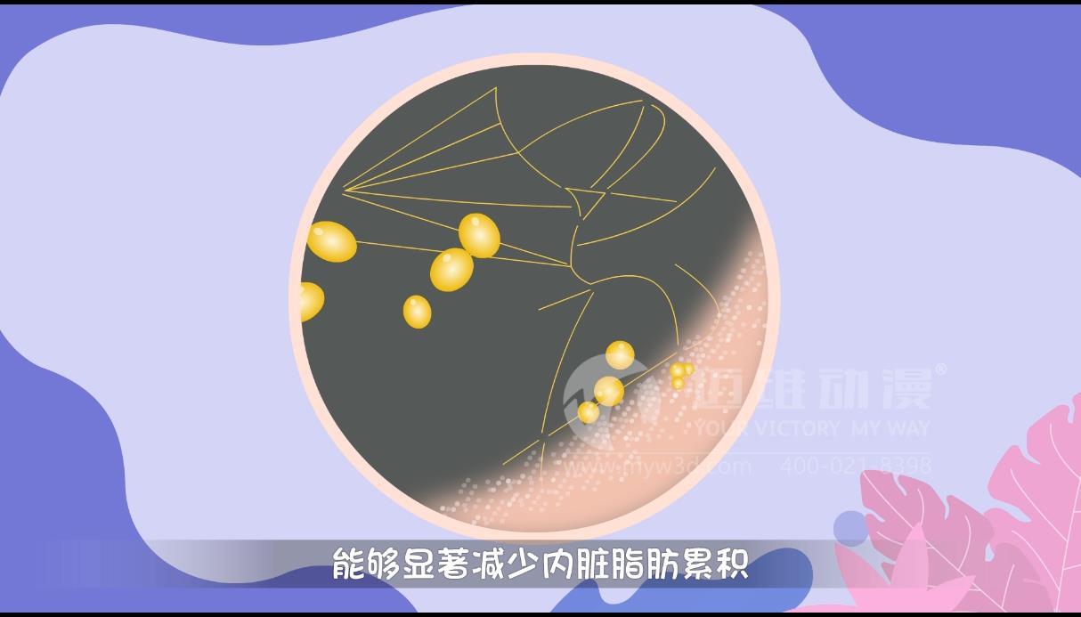 MG動畫，邁維動漫.jpg